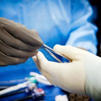Close up of one hand in brown surgical latex glove handing a metal clamp to another hand in white surgical latex glove